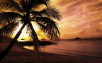 Attachment for full hd nature wallpapers 1080p desktop - sunset in the beach