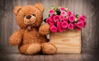 Cute Teddy bear with Pink roses