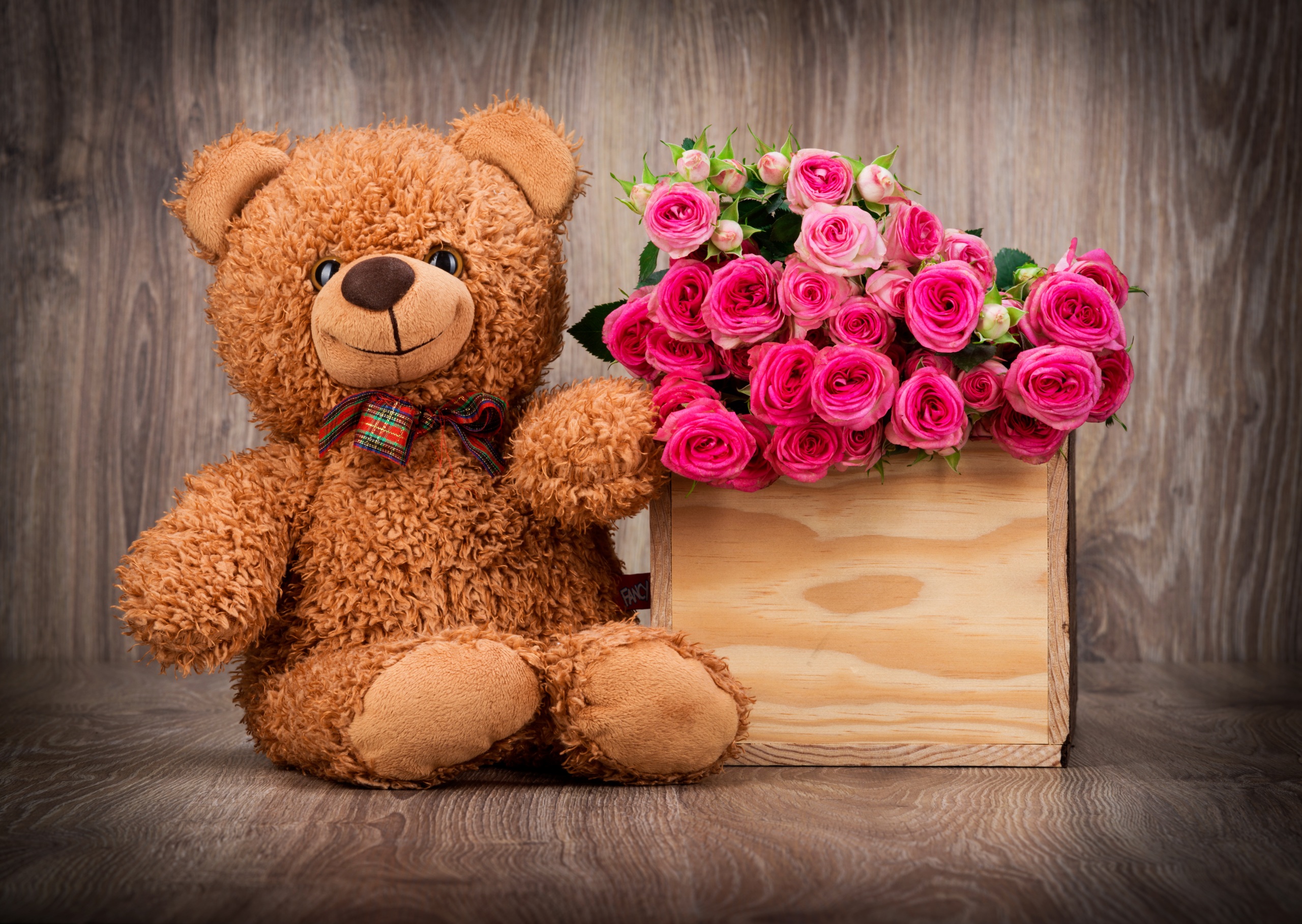 Cute Teddy Bear Wallpaper with Pink Roses in Box | HD Wallpapers