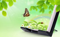 3d Images of Nature for Desktop Background with Butterfly and Green Leaves