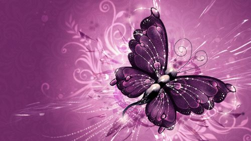 Attachment file for Wallpapers HD with butterfly photos free download in 3D