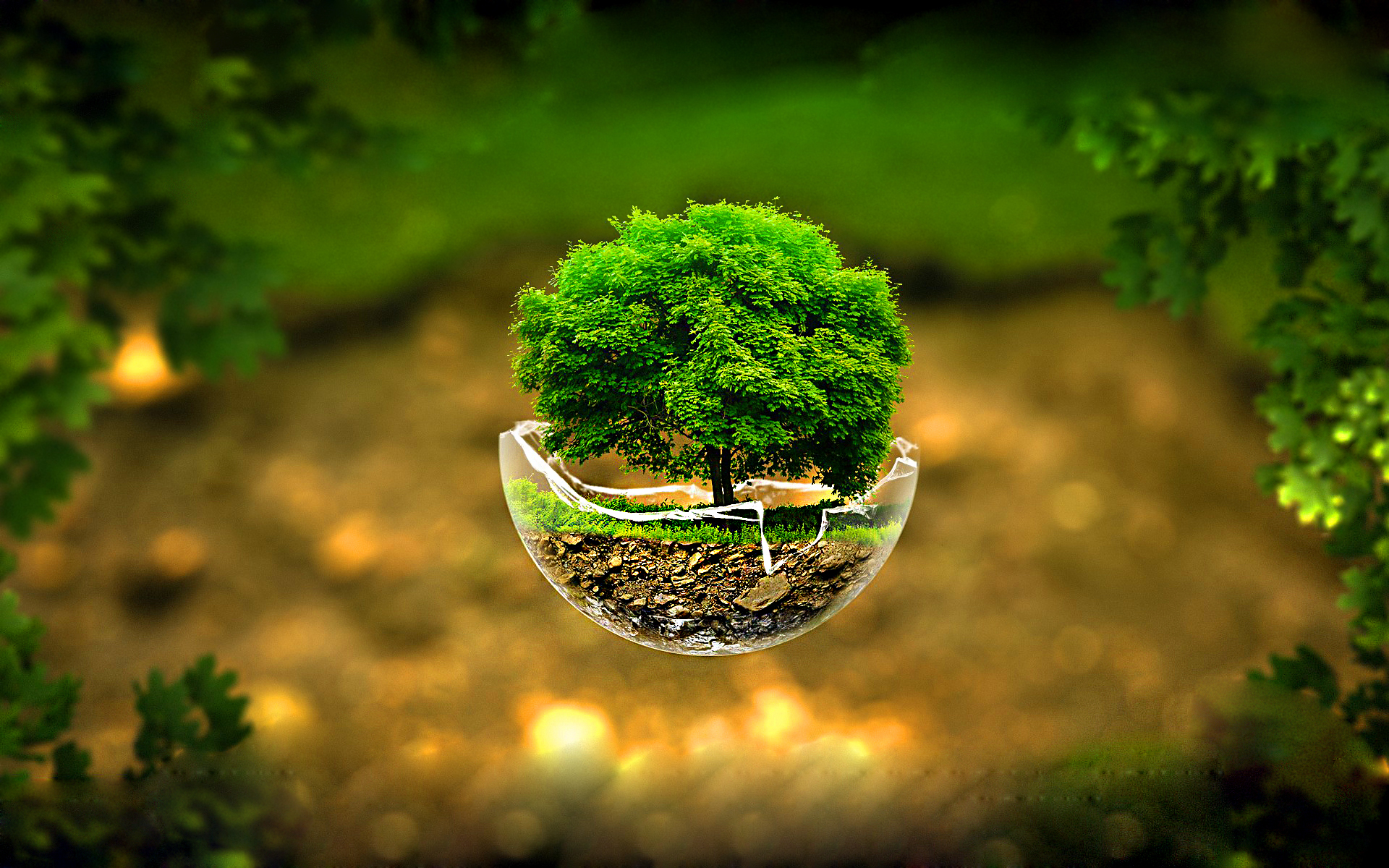 3D Nature Images HD with Flying Tree on Broken Glass - HD Wallpapers