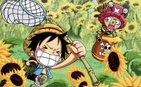 Attachment file for Funny One Piece Wallpaper - Luffy and Tony Tony Chopper