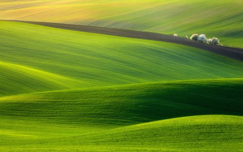 Beautiful Landscape Photography with Green Field Moravia in Czech Republic