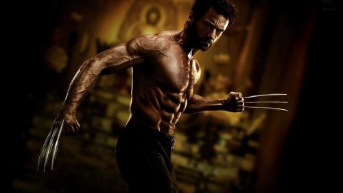 Attachment for HD Wallpapers 1080p with Superheroes - Wolverine (8 of 23)