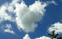 File to download for Heart Shaped Cloud 10 of 57 - Live Capture Love Shaped Cloud