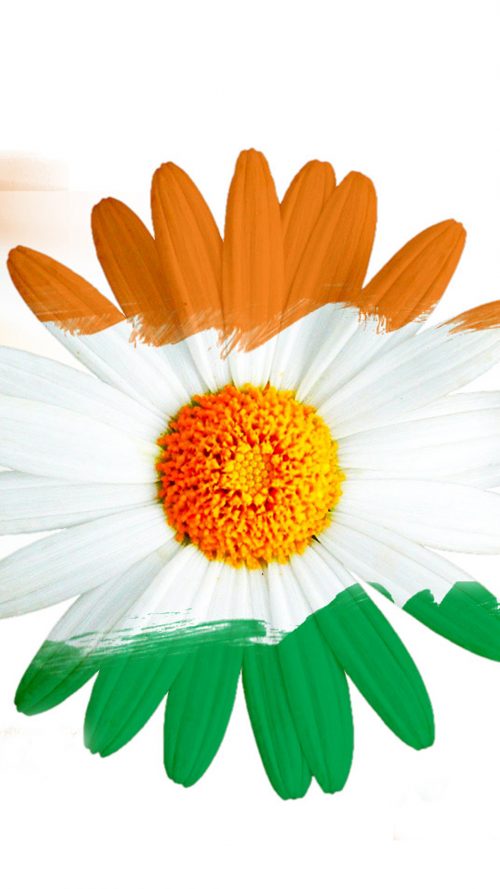 Free download of India Flag for Mobile Phone Wallpaper 15 of 17 - Tricolour Flower
