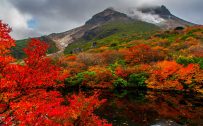 Nature Images HD with picture of Autumn in Nasudake Japan
