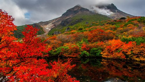 Nature Images HD with picture of Autumn in Nasudake Japan