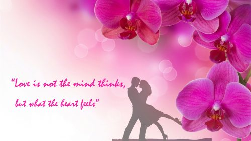 Love quotes with pink orchid flower