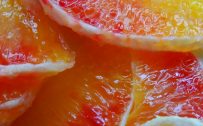 Free download of macro photo of red orange for wallpaper