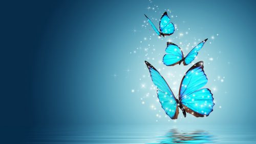Free download of fantasy butterfly wallpaper 02 of 10 - Blue Morpho on Water