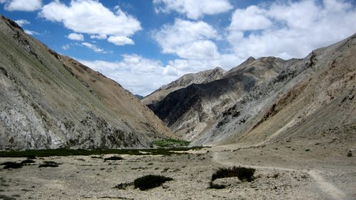 Markha Valley Trek in India