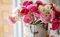 Flowers That Look Like Roses with Ranunculus