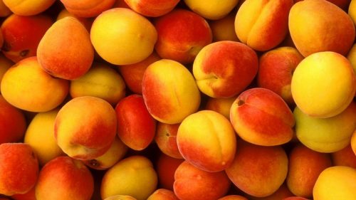 Peach Color Wallpaper with Peach Fruits Picture