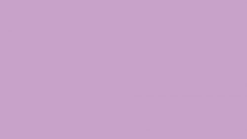 Solid Color Wallpaper Border with Lilac