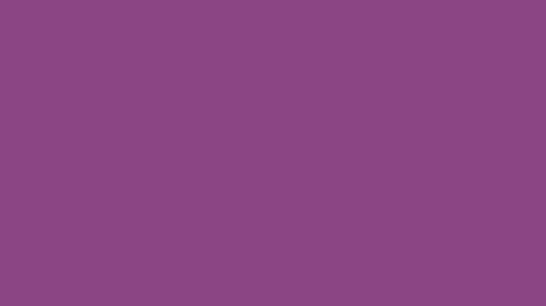 Solid Color Wallpaper Border with Plum Color