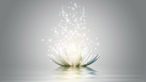 Animated White Lotus Flower as The Symbol of Yoga
