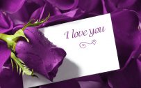 Full HD Love Wallpaper with Romantic Purple Wet rose