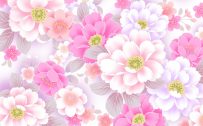 Pink Floral Wallpaper Designs