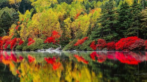 Download file for high resolution nature pictures with Colorful Nature Trees Autumn Season and Lakes Reflections