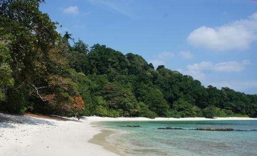 HD Nature Wallpapers with Havelock Island Beach