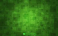 Windows 10 Wallpaper Green