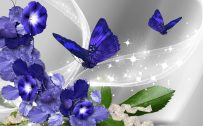Pictures Of Blue Flowers And Butterflies with Abstract Background