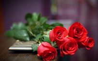 Pictures of Red Roses as Hand Bouquet Flower