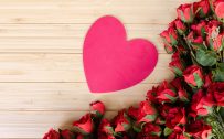 Romantic Wallpapers with Pictures of Red Roses flower