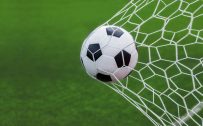 Picture of Soccer Ball Goal in Net