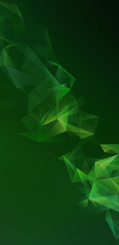 Official Wallpaper 10 of 15 for Samsung Galaxy S9 and Samsung Galaxy S9+ with Dark Green Polygons