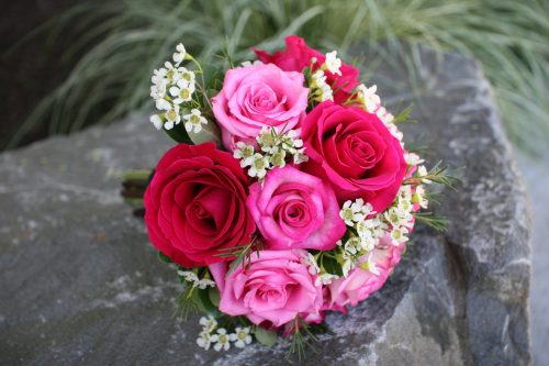 Top 25 Pictures Of Red Roses - #09 - Pink Roses