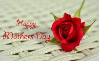 Top 25 Pictures Of Red Roses - #19 - for Happy Mothers Day