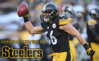 Pittsburgh Steelers Player Wallpaper – Anthony Chickillo (26 of 37 Pics)