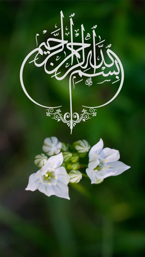 Phone Nature Wallpapers as Islamic Wallpaper for Mobile HD with Bismillah
