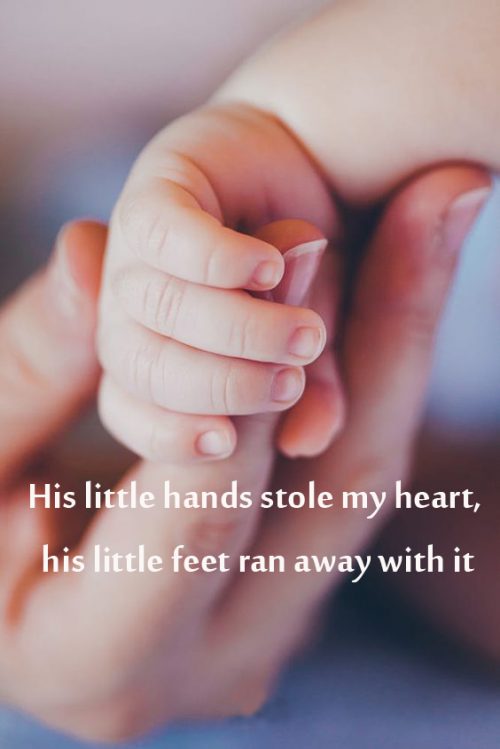 Top 20 Baby Quotes and Sayings for Mom 10 - His little hands stole my heart