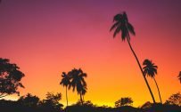 Beautiful Nature Wallpaper Big Size #49 – Instagramable Sunset Picture in 4K