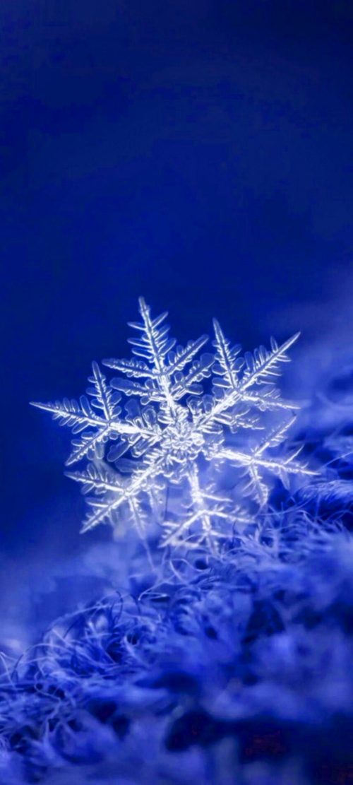 10 Perfect Blue Wallpapers for Nokia 8.3 5G - #03 - Snowflake