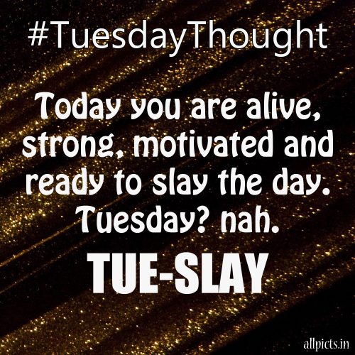 20 Most Favorite Tuesday Motivation Images and Tuesday Thoughts 05 - Today you are alive