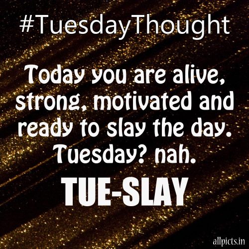 20 Most Favorite Tuesday Motivation Images And Tuesday Thoughts 05 