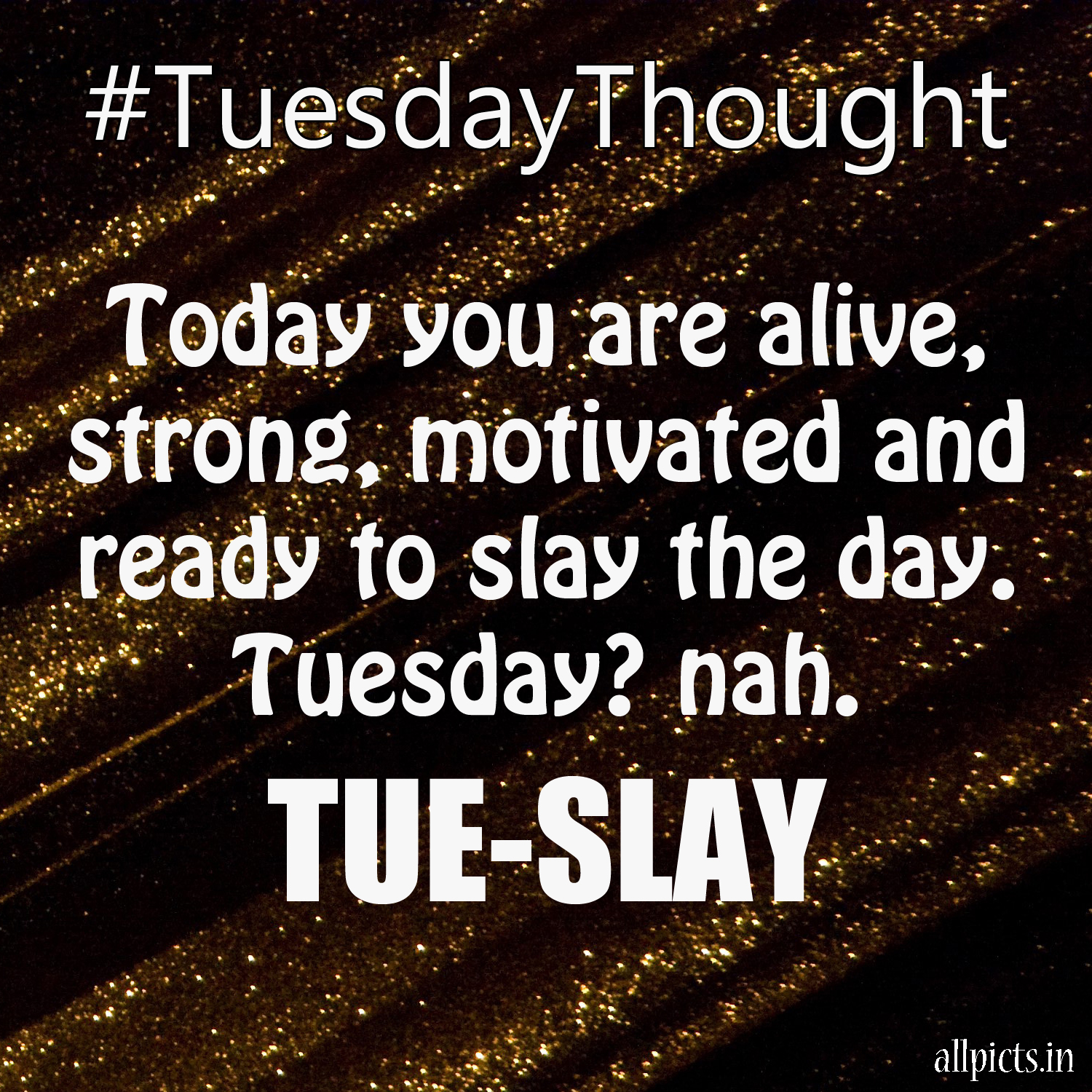 20-most-favorite-tuesday-motivation-images-and-tuesday-thoughts-05-today-you-are-alive-hd