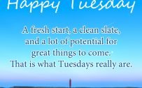 20 Most Favorite Tuesday Motivation Images and Tuesday Thoughts 10 - That is what Tuesdays really are