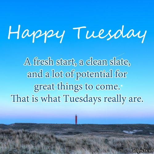 20 Most Favorite Tuesday Motivation Images and Tuesday Thoughts 10 - That is what Tuesdays really are