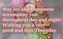 20 Best Thursday Thought Wallpapers as Motivational Quotes 07 - May joy and happiness accompany you