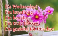 20 Best Wednesday Thought Quotes for Work 09 - I'm grateful for this day