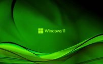 Abstract Wave in Green for Windows 11 Background