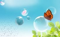 Animated Wallpaper of Butterfly Bubble for Desktop Background in HD