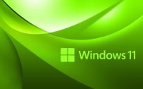 White Green Abstract Wallpaper for Windows 11 Desktop Background