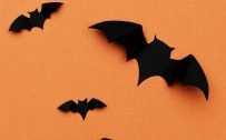 Free Happy Halloween Wallpaper with Picture of Bats on Orange Background